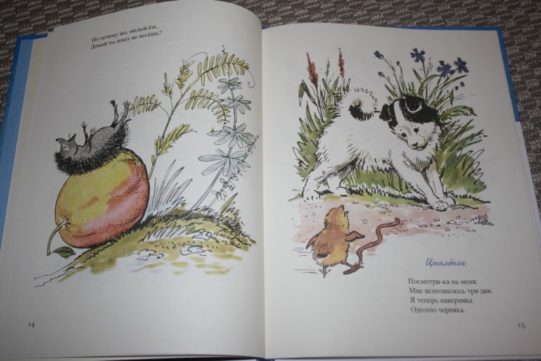 Наше декабрьское чтение