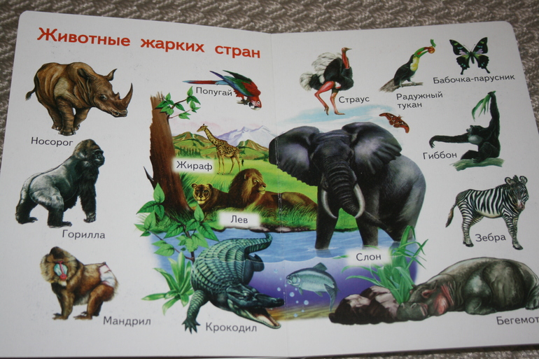 Наше декабрьское чтение