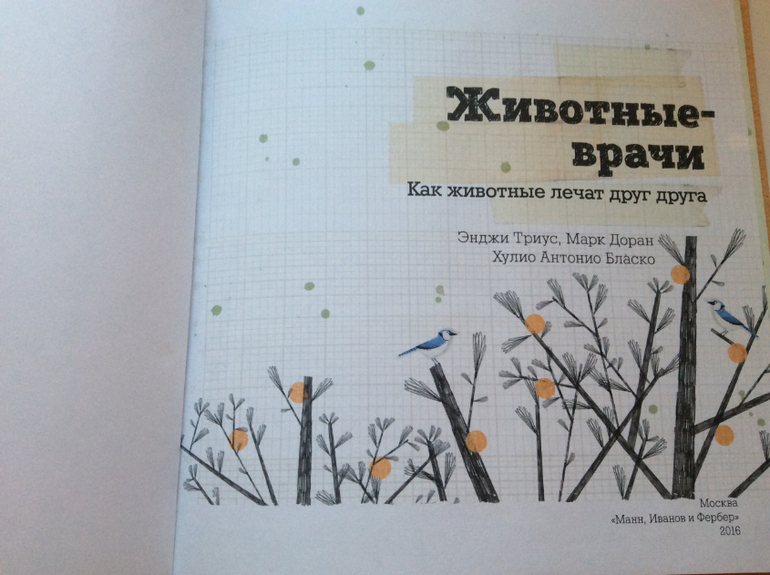 Животные врачи как животные лечат друг друга Животные врачи как животные лечат друг друга