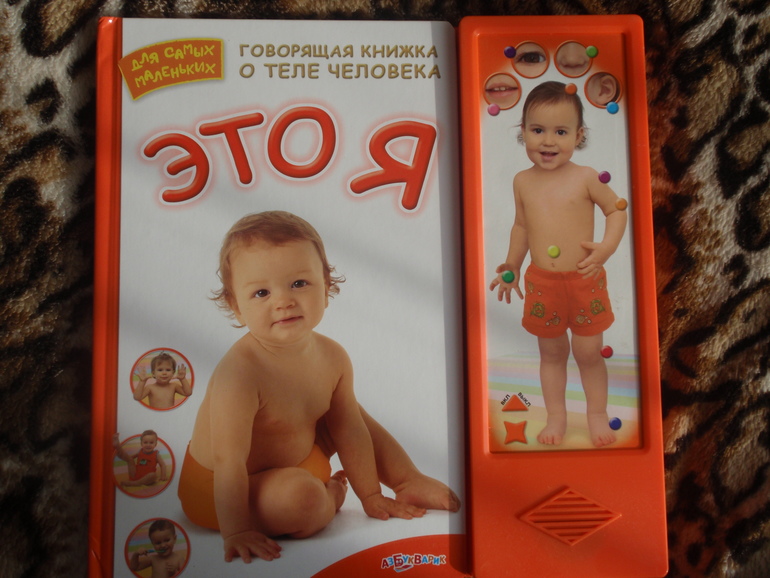 изучаем строение тела