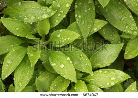 давайте дружить!!!