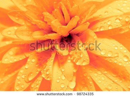 давайте дружить!!!