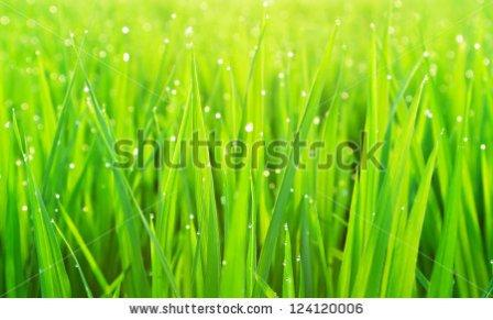 давайте дружить!!!