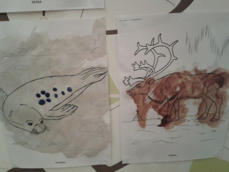 11.12 - Животные Севера.