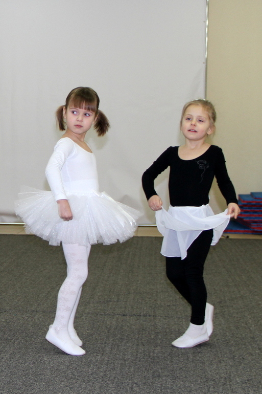 Танцующий лебедь