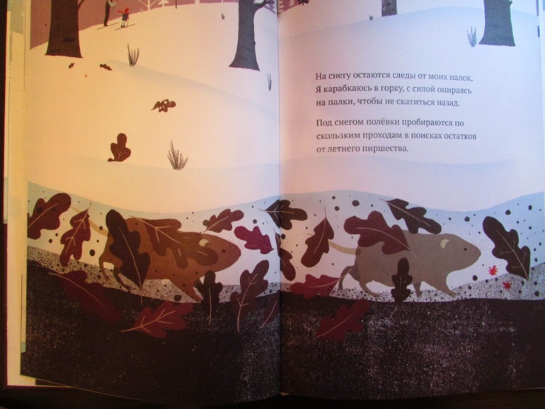 Наши зимние книжечки