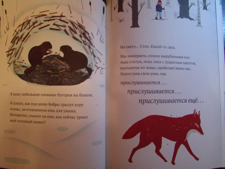 Наши зимние книжечки