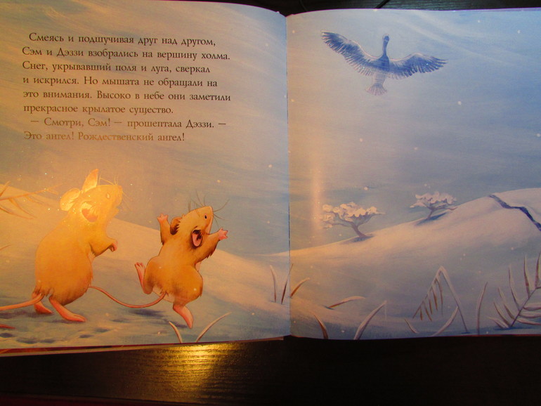 Наши зимние книжечки