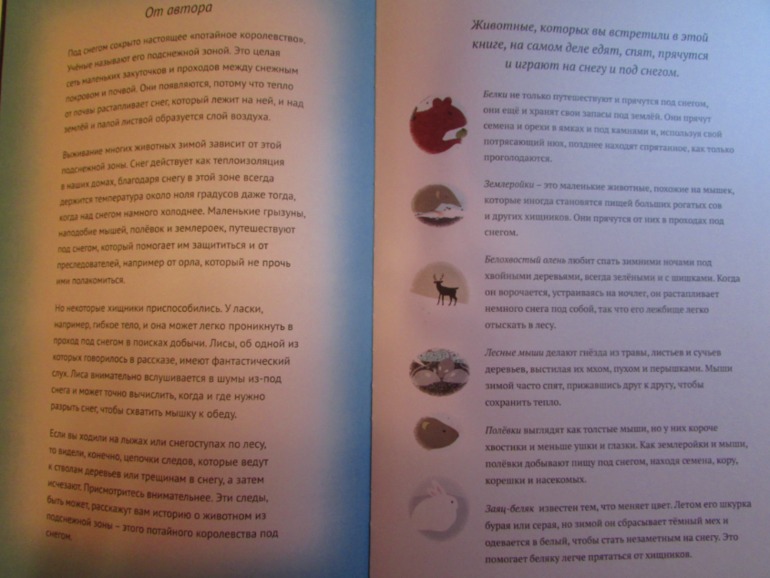 Наши зимние книжечки