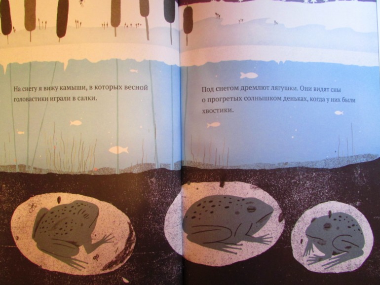 Наши зимние книжечки