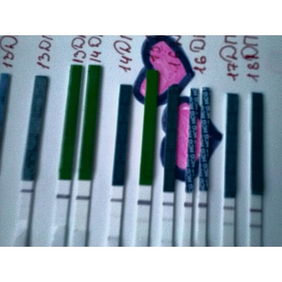 Мои полоски!!!