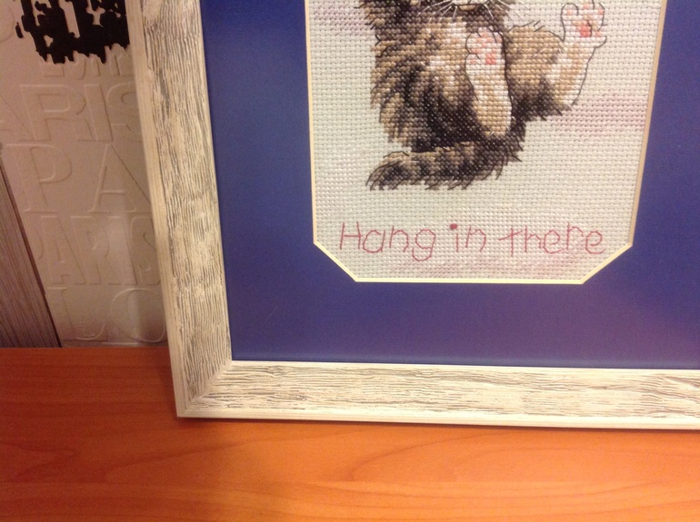 Котик от Дим