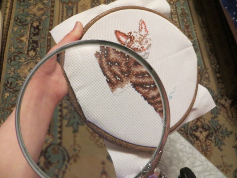 Моя новогодняя хомячья неожиданность :))