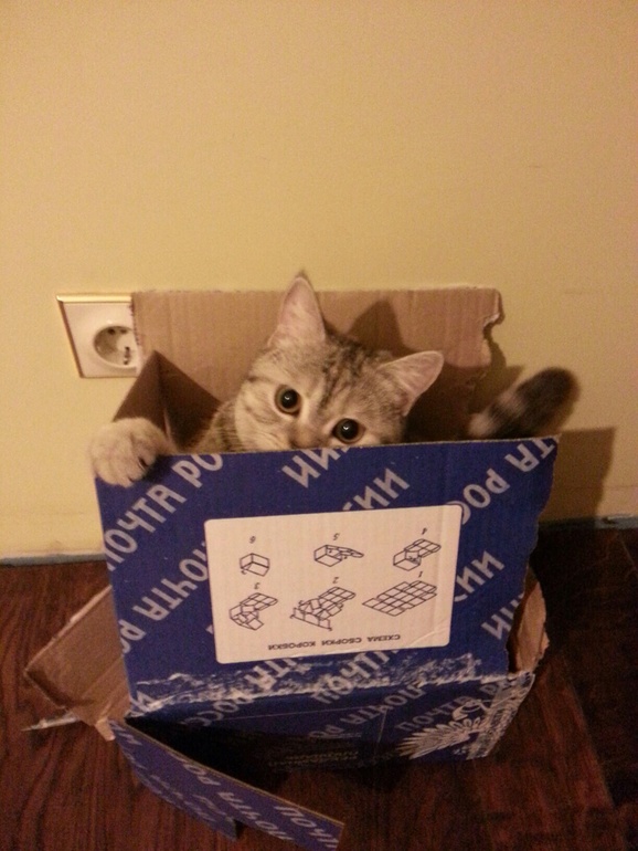 МОЯ ПЕРВАЯ ПОСЫЛОЧКА ОТ МОЕЙ МАРИНЫ!!!!!!!