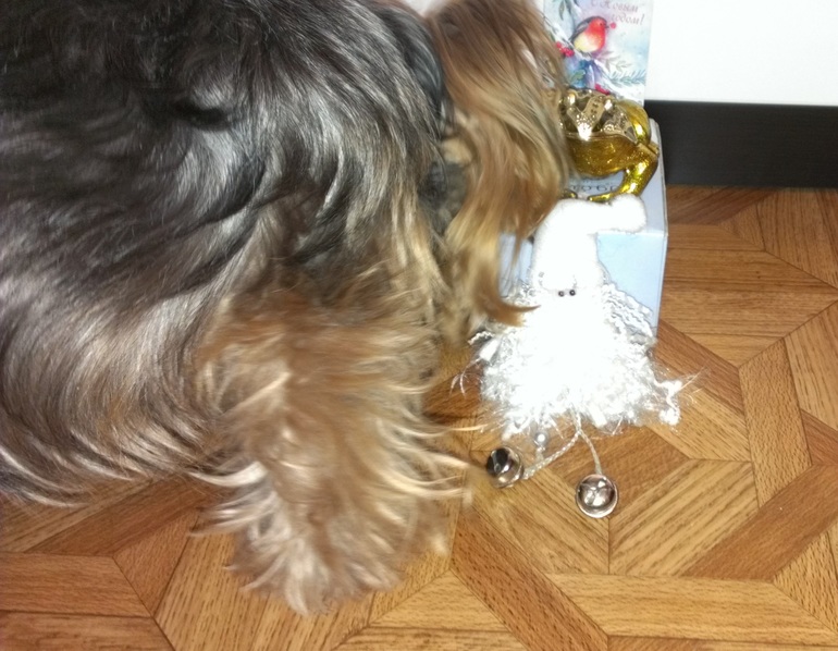 Вот и моя Снегурка добралась до меня!!!!!