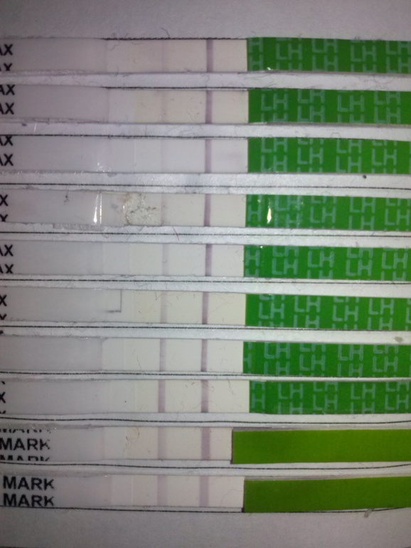 когда была О и когда надо было ПА?