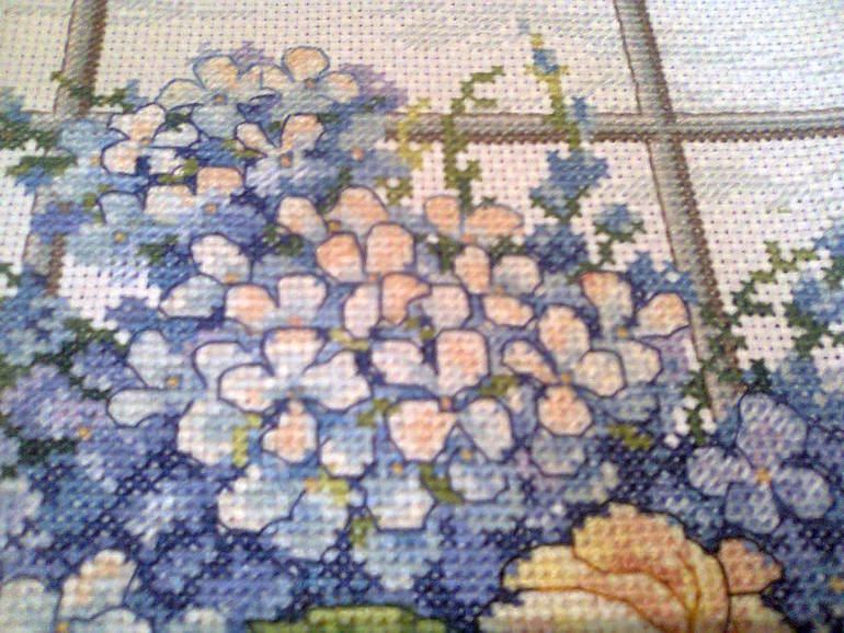 Гортензии и ракушки