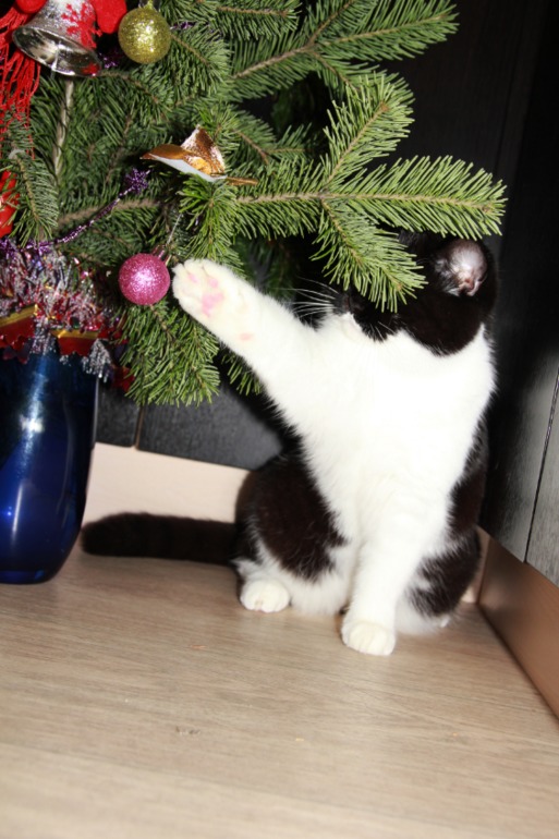 с Новым 2014 годом друзья!!!