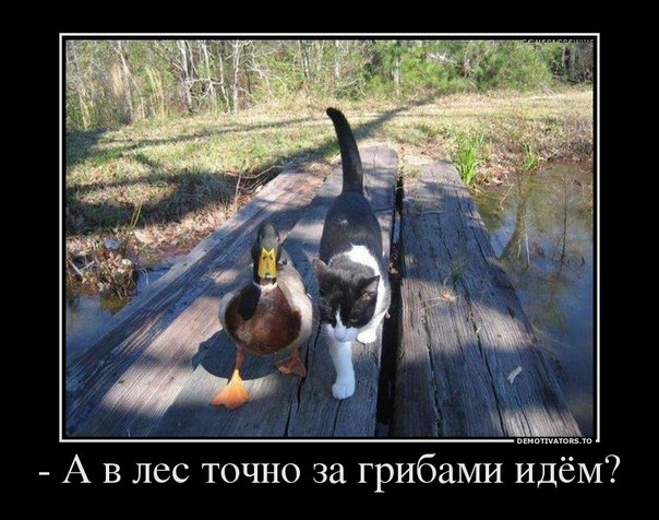 Минутка улыбки)5 шт.