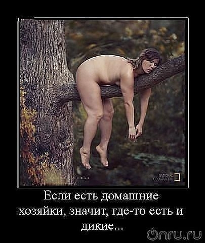 Смешной мусор из соц.сетей (скопилось)