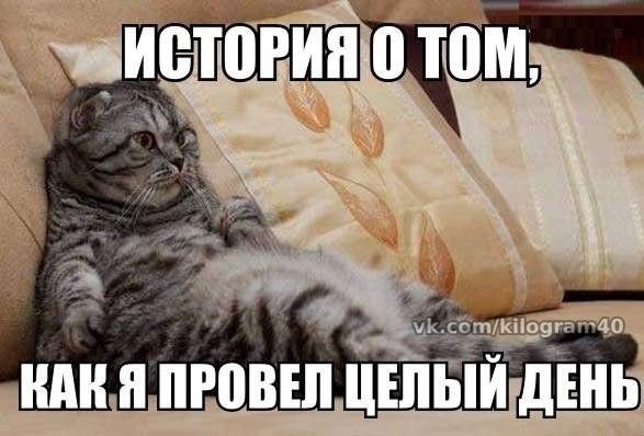 День 7