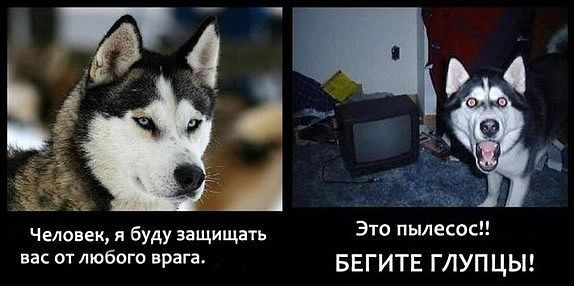 Время улыбнуться.