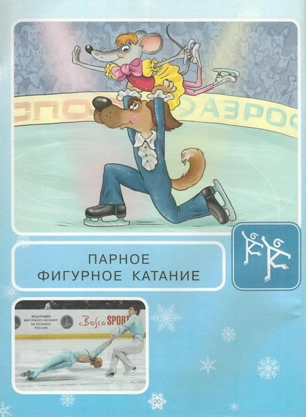 Зимние виды спорта