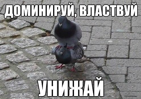 От улыбки, хмурый день светлей и даже ночь:)...