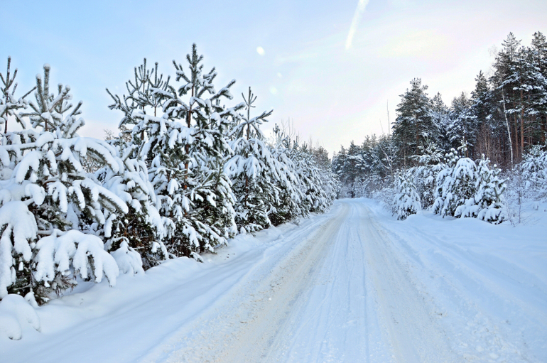 Зимняя сказка !!! Наша прогулка!!