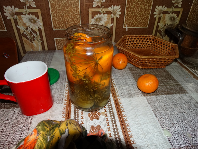 Топ 10 фототк 1,6- 1,9