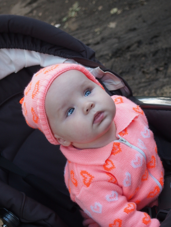 Мой гномик родной=*