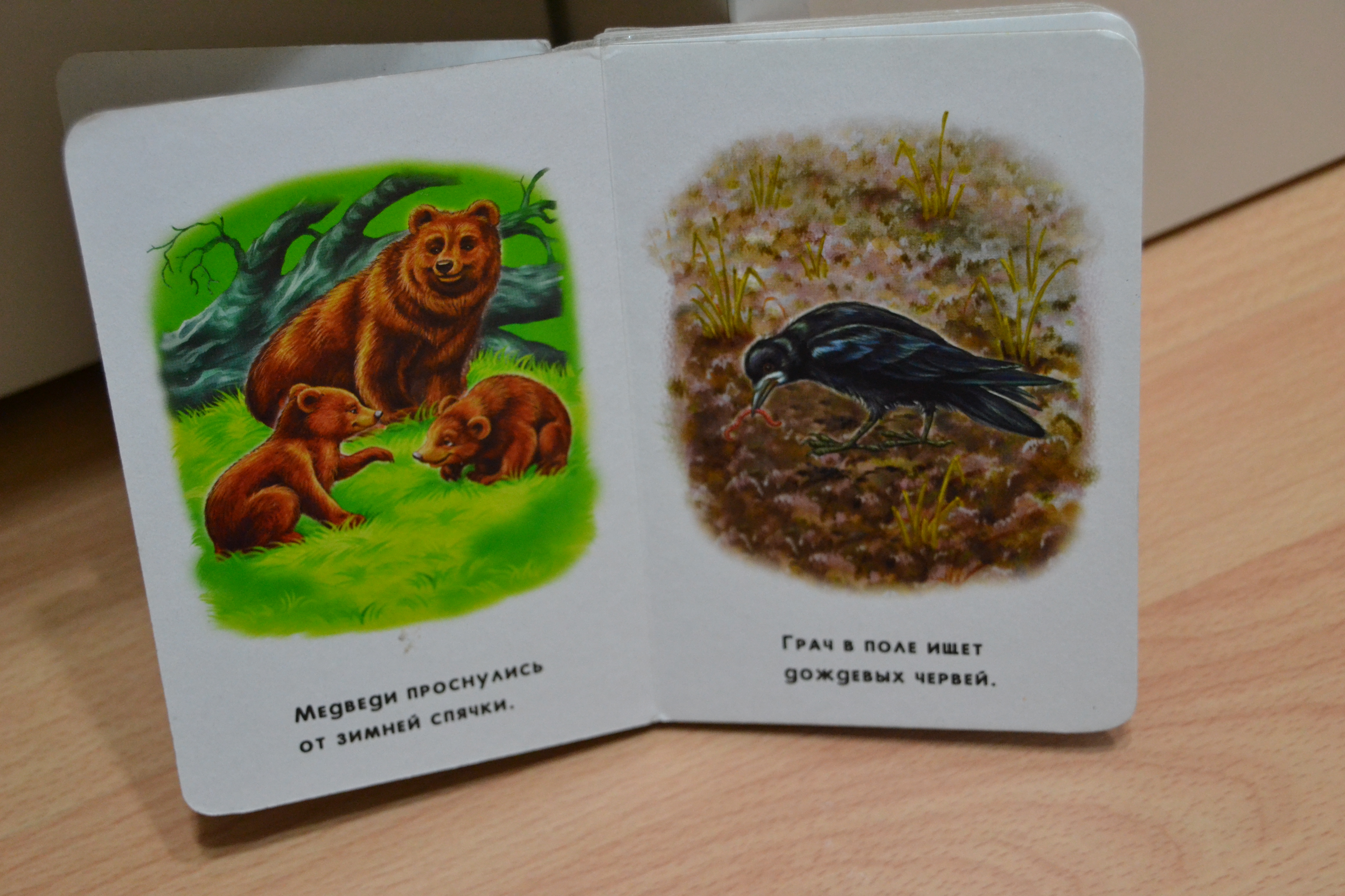 Весеннии книги