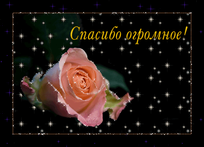 ОГРОМНАЯ БЛАГОДАРНОСТЬ ЗА ПОМОЩЬ И ДОБРОТУ!!!