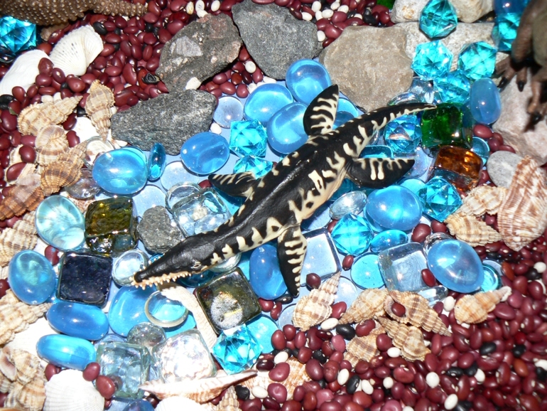 Сенсорная коробка