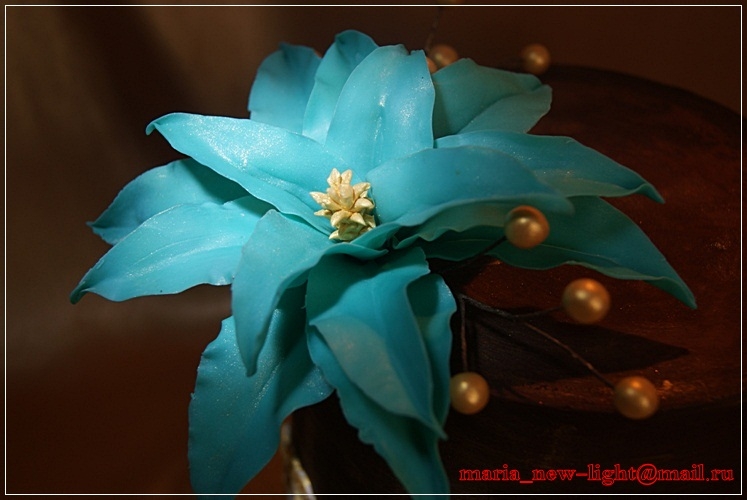 с цветочком)