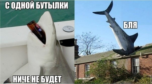 Смехотерапия