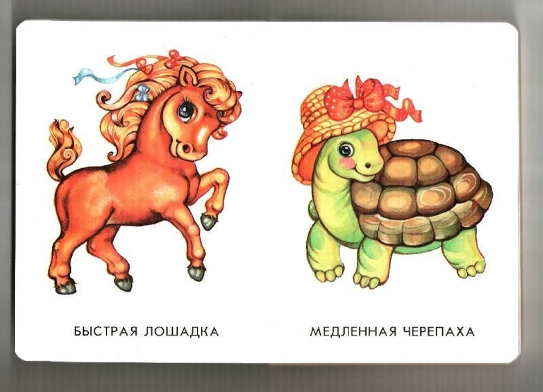 ТН
