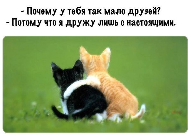 Очень актуально.