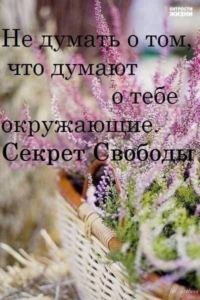 Шесть секретов