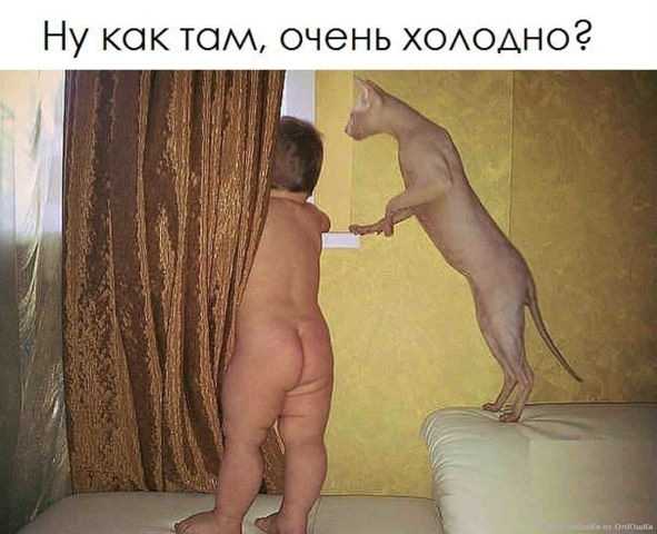 Время улыбнуться.
