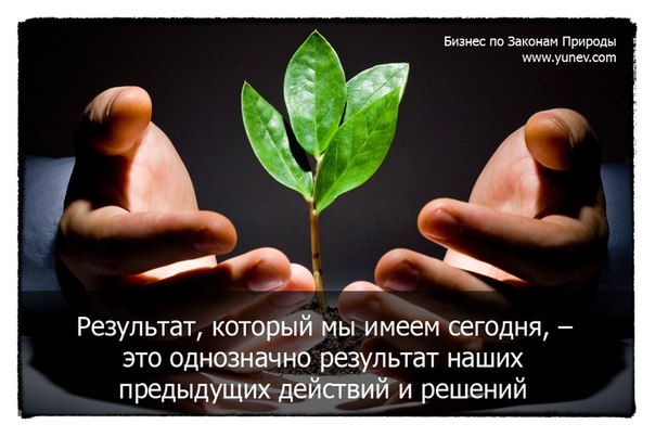 Бизнес-школа системного мышления