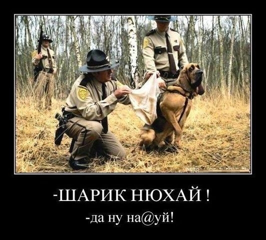 От улыбки, хмурый день светлей и даже ночь:)...