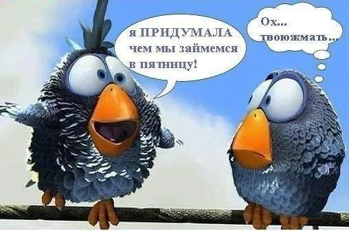 Стыринино у Аурики. Ржу не могу