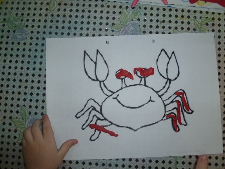 ТН "Море" Морские обитатели.