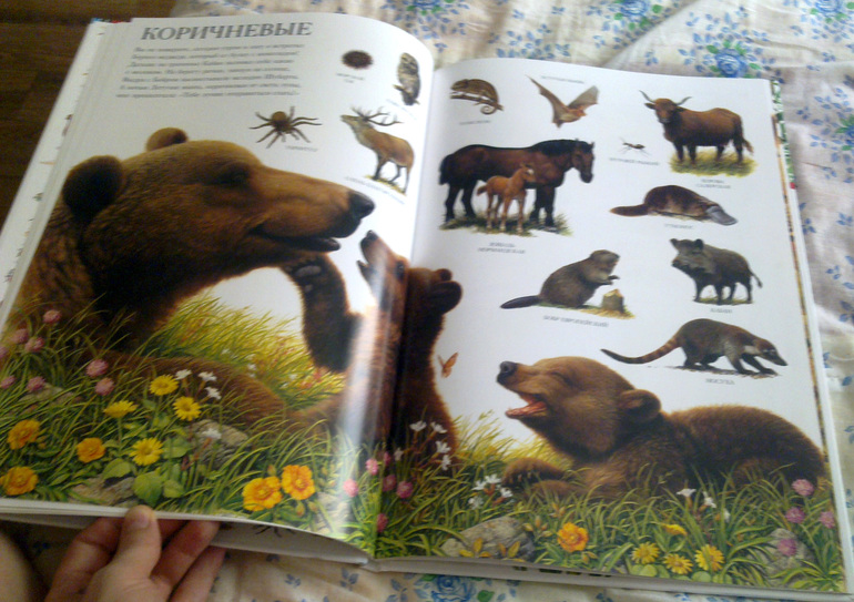 Новые поступления книжечек.