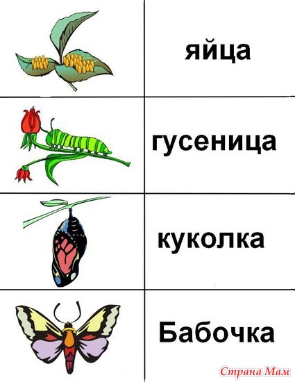 3f80aaf4f0e4a5268022c6f66231df90.jpg