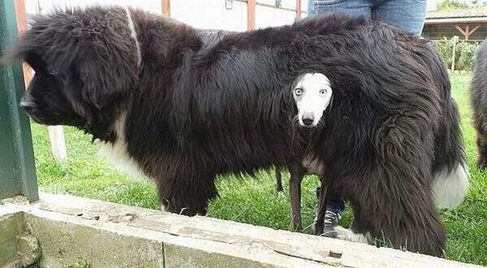 Немного настроения на четверг=)))