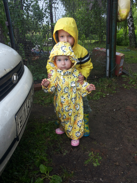 Дачники)