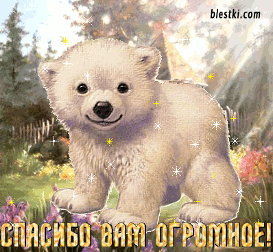 Моя дипломная работа.