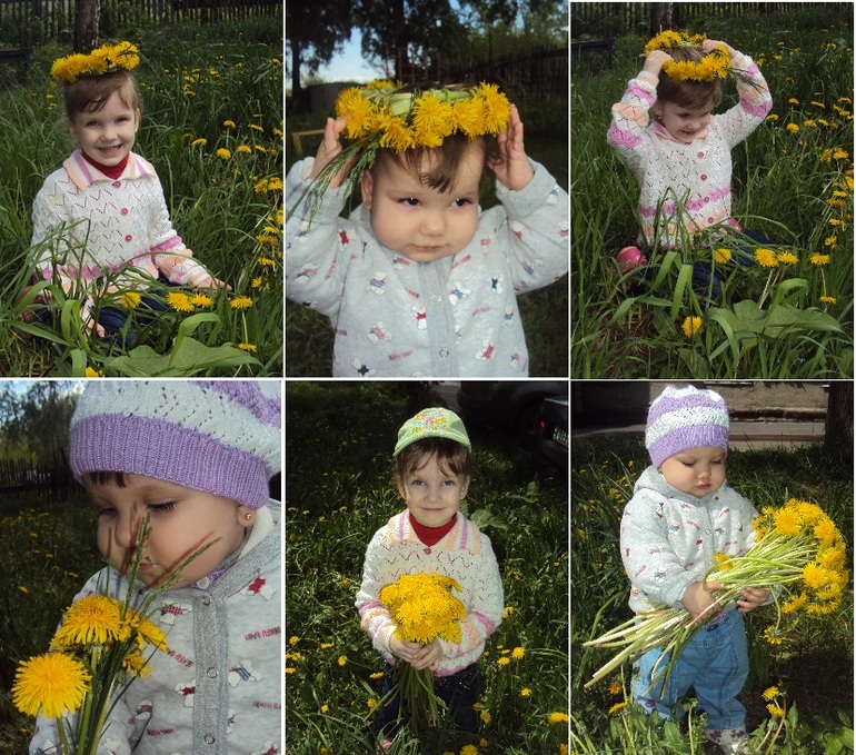 Одуванчиковая прогулка